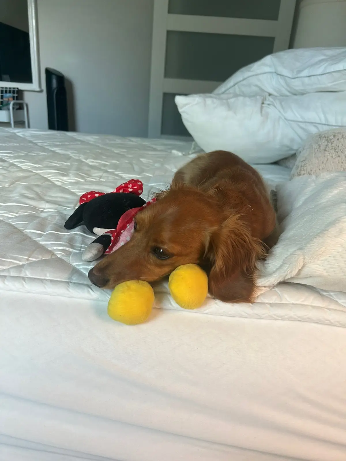 Any excuse to post my precious Angel 