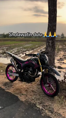 🥰#surex #crfherexstyle🚀 #crfskybii #surexgank #crfherex #crf #supermotoherexstyle #pinky 