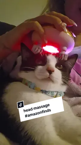 I think my cat likes this head massage more than me 🤣 #amazonfinds #scalpmassager #headmassage #catstagram #caturday #catreels #catrelaxing #catrescue #catsofınstagram #TuxedoCat #RescueCat #cattoy #catmusthaves #catlover #CatLove #catlifestyle #catinfluencer #petlovers  #kittenplaytime 