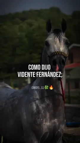 🔥 #Viral #parari #para #paratiiiiiiiiiiiiiiiiiiiiiiiiiiiiiii  #fypシ゚viral #corridostumbados #corridos #tiktok #rancheras #mexico🇲🇽 #rancho #colombia #videos  #VicenteFernandez #sigueme #corridoschingones 