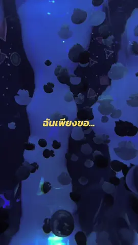 ให้เขากุมมือเธอเอาไว้.. แบบที่ฉันเคยทำ 🖤💔 #แบบที่ฉันเคยทํา #อกหัก #โชคดีนะ #feed #ขึ้นฟีดเถอะ 