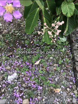 please.. #fypシ゚viral ##relatable #unsaidthoughts 