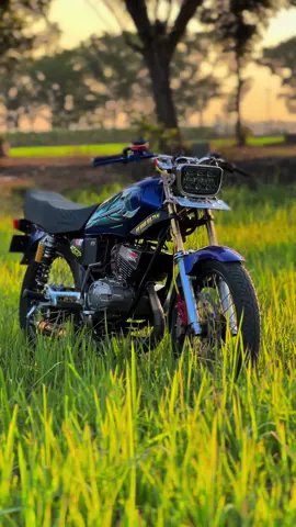 versi cinematiknya bolo🔥🇲🇨#79 #JelajahMerdeka #fyp #tiktok #fypシ゚viral #rxking #rxkingmodifikasi #fyppage #templaterxking #sedulurking #fypシ゚viralvideo #fypシ゚viralvideo #telahgugurpahlawanku #dirgahayuindonesia79 