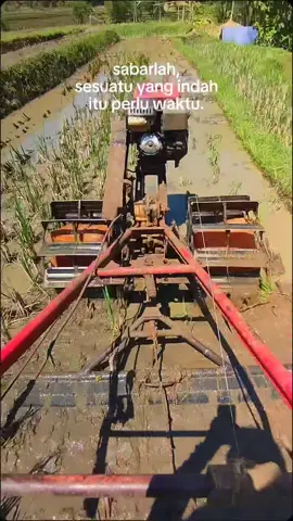 traktor capung #fyp  #traktorsawah 