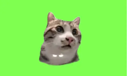 最初の顔🤣 #ミーム #fyp #capcut #びっくり#ドッキリ #驚き #funnycat 