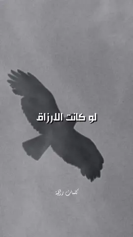 لو كانت الأرزاق بيد البشر، لمات الناس جوعًا. كن على يقين دائم بأن الرزق بيد الله وحده، وليس بيد العباد... .  .  #اقتباسات #أقوال #أقوال_وحكم #حالات_واتس #كلمات #تيك_توك #للعقول_الراقية_فقط #خواطر_ملهمة #خواطر  #كلمات #اكسبلور #اكسبلورexplore #للعقول_الراقية_فقط🤚🏻💙 #عباراتكم #عبرات_من_القلب💔💔 #عبارات_حزينه💔 