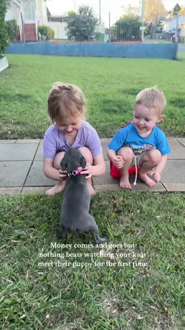 Welcome home Malibu 🐾🥰 #puppy #puppytiktok #puppylove 