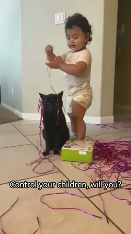 Control your children 😭 #cat #cats #fyp #funnyvideos #funnycat #funnyanimals #funnytiktok #foryou #foryoupage #catsoftiktok #catsmoves #kitten #pet #tiktokcats #usa #usa🇺🇸 