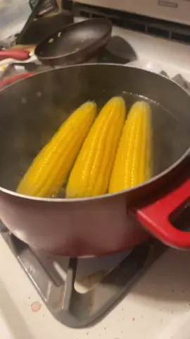 korn preforming twist in my kitchen #korn #jonathandavis #corn #twist @Korn 