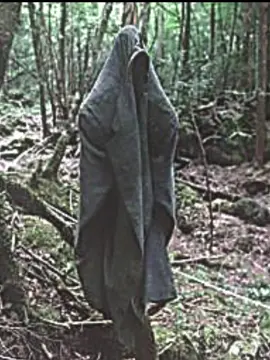 Allah yanımızda oldukça kafirlerden korkmayın#film #cinematic #village #horror #allahuakbar #allah #muslim #siccin 