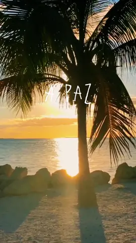 A Paz.- Gilberto Gil #statusmusica #paz #gilbertogil #musica #mpb  #CapCut 