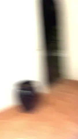 Ich vermisse jetzt schon Ibiza 🥲💕 #ibiza #hiibizaclub #foryou #fy #urlaub #girlstripp #spanien 