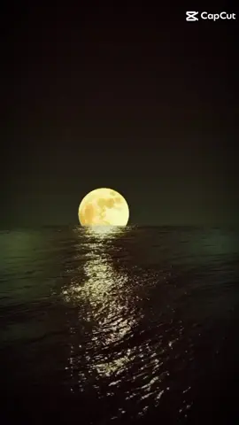 #تظن أگدر أنام الليل وأنتَ بعيد عن عيني.! 😔🫂🪐.  #باسم_الكربلائي_خادم_لن_يتكرر #زياره_الاربعين_مشايه_كربلاء.  #عشقي_كربلائي🇮🇶.  #عشق_ حسيني. 🏴. 