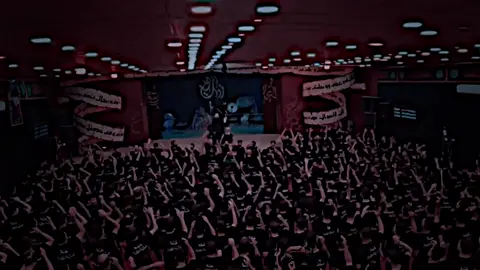 مثـل امهـه بهـل الحب مجنـونه❤️🥺…………… #محمد_الجنامي #فيديو_ستار #شيعت_مولانا_علي_الكرار #شاشه_سوداء #تصميم_فيديوهات🎶🎤🎬 #تصميمي 