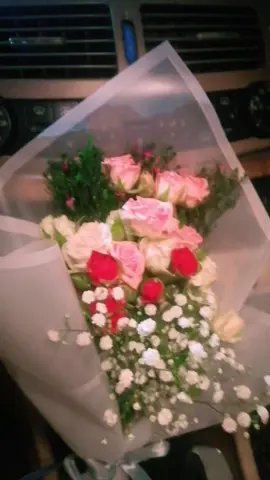 #اربد #المغرب🇲🇦تونس🇹🇳الجزائر🇩🇿 #الشايب #زنبقة_السلام #صناع_السعادة #CapCut #اكسبلورexplore #a  #s