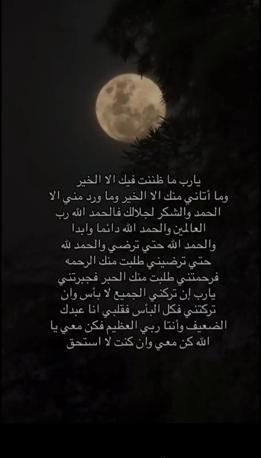 #يارب❤️  #افوض_أمري_الى_الله 