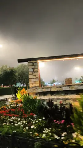 مساءات اغسطس الجميله في بلاد الزهر الباحة ويا حبيبي الدنيا حلوه وخلنا نعيش🕊️ 