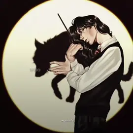 Who marauders be tonight?  #maraudersera#marauders#siriusblack#jamespotter#remuslupin#harrypotter#fypage#fypviral#viral#marotos#harrypotteredit 