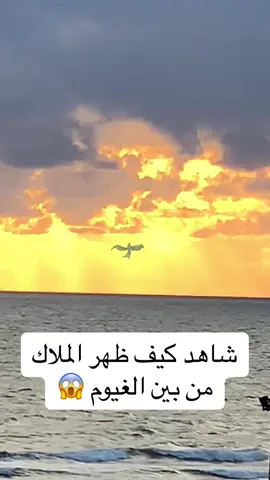 اكتب سبحان الله في تعليق 🙏😱😱#كابتن_ميوز 