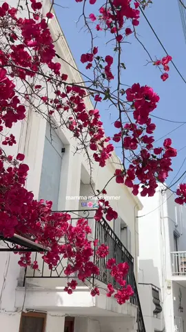 📍 paros, greece #mammamia #parosgreece #greece #traveltok