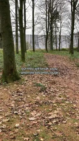 #quotes #nature #Outdoors #3typesofpeople 