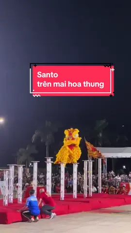 Cuối cùng cũng được gặp idol. Santo trên mai hoa thung. #chunghuyduong #maihoathung #mualan #liondance #trungthu2024 #mualannghethuat #lansurong 