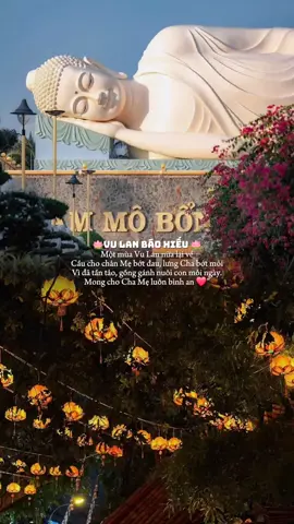 #vulanbaohieu #rầmtháng7 #62longan❤️_chàomoinguoii 