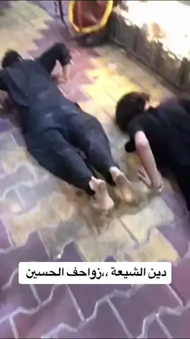 #313 #شيعة #السيستاني #الخميني #خامنئي #زينبيات #موالين #متعة #المهدي_المنتظر #ايراني #اربعينية_الامام_الحسين_عليه_السلام #الحشدالشعبي #دمشق_حلب_حمص_حماة_طرطوس_الاذقية #الناصرية_بغداد_السماوه_البصرة_العمارة #زوار_الامام_الحسين #ايران 