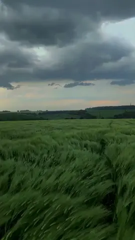 This may be the shape of the wind#HealingScenery #TheShapeofWind