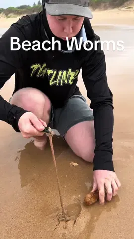 Make sure to follow us 😁 beach worms love KFC #foryou #foryoupage #fyp #viral #fypシ #beach #crazy #you #fish #food #nature #monster #tiktok #fy #wild #insane #pizza #fypシ゚viral #fishing #kfc #chicken 