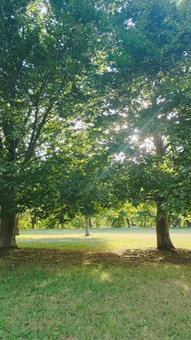 #claros #arboles #naturaleza #nature #paisajes #landscapes #ilovenature #greenscreen #fyp #foryou #postales #españa #spain #paisajesnaturales #sinfiltro #tiktok #viral #verde 