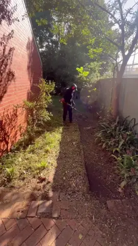 Time to help this lady and clean up her yard! #satisfying #cleaning #asmr 