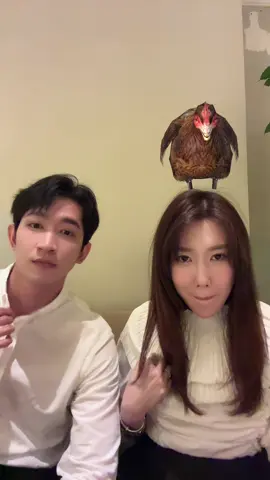 Hư hết cái đầu tóc làm mấy tiếng. 😂