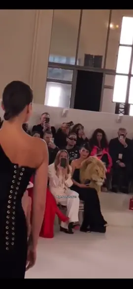 High fashion 2024 #highfashion #schiaparelli #fashion #viral #model 