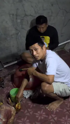 Tamu Tidak Diundang