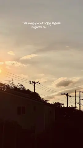 ❤️ #viral  #handagawin #dilubeats #mehadeayeth_paravuna_malnam #foryou #fypシ 