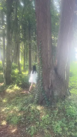 #aesthetic#Japan #greenaesthetic #japanesecountryside #iimirei #recommendations #foryou  #fyp #nature #landscape #cottagecore #fairycore#gloomy#slowtravel#lightacademia #bloomcore #calmingvibes#xuhuong#田舎暮らし  #自然 #日本の景色#森ガール