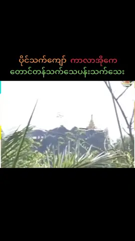 #တောင်တန်သက်သေပန်းသက်သေ #ပိုင်သက်ကျော် #ကာလာအိုကေ #တီးလုံး #Karaoke #ကာရာအိုခေ 