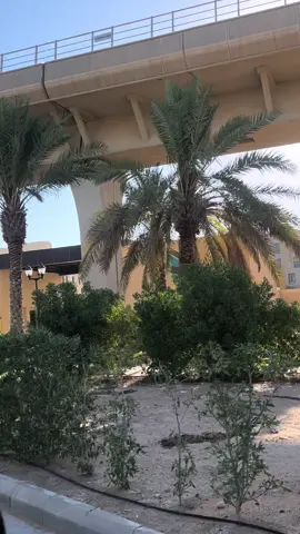 خلصنا اول شهر من معسكر سدايا T5 بمقر اكاديمية طويق🦾🩶 #اكاديميه_طويق #fyp #explore#سدايا #riyadh #CS #علوم_الحاسب_والهندسة  