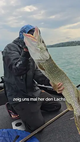 Der Force Kraken trotzt dem Wind #angeln #angler #harzfishing #fishing #pikefishing #pike #hecht #hechtangeln 