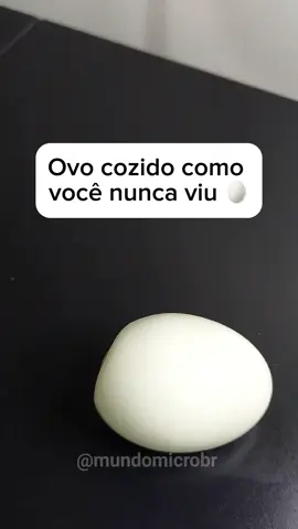 Ovo cozido como você nunca viu 🥚. #ovo #microscopio #mundomicro #microbiologia #biologia #viral #reelsviral 