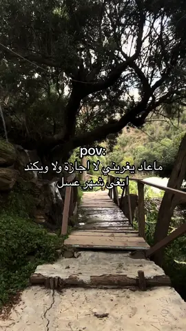 كيف الطريقه 😹!#explore 