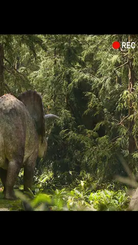#tiktok #animals #animslworld #dinosaur #dinosaurs 