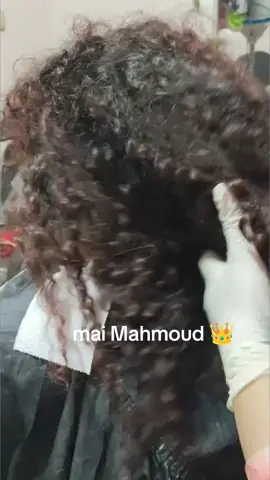 معالجات الشعر في حته تانيه بجد ♥️🥹 #الملكة👑💎🦋🤫💪 #ترميم #فيلر #معالجات_شعر 