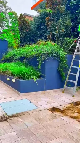 Satisfying Gardening Work 🤩🍀 #garden #gardening #satisfying #cleaning #hedges #viral #asmr #relaxing #fypシ #fyp 