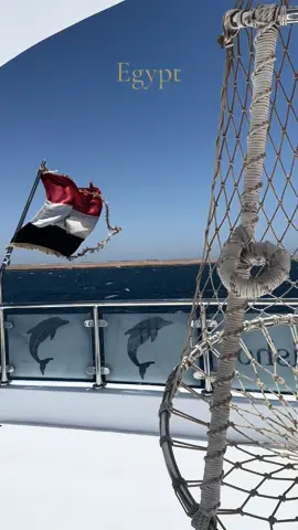 Egypt🇪🇬 Have you been to egypt? . . . . . . #egypt #egyptian #travel #traveling #nature #OOTD #insta #instagram #exploreegypt #travelcontent #life #aesthetic #sunset #sunrise #exotic #Sharm #sharmelsheikh #safari #Fyp #foryou #foryoupage #travelvlog #fypage #explore #minivlog #packwithme #aesthetictravelvlog #airportfeeling #airportlife #airport #traveltiktok #tiktok #life #Vlog #travelday #traveldayvlog #pyramids #sealife #sea #foryou #foryourpage #egyptian #egypt🇪🇬 #traveltok #Lifestyle #live 