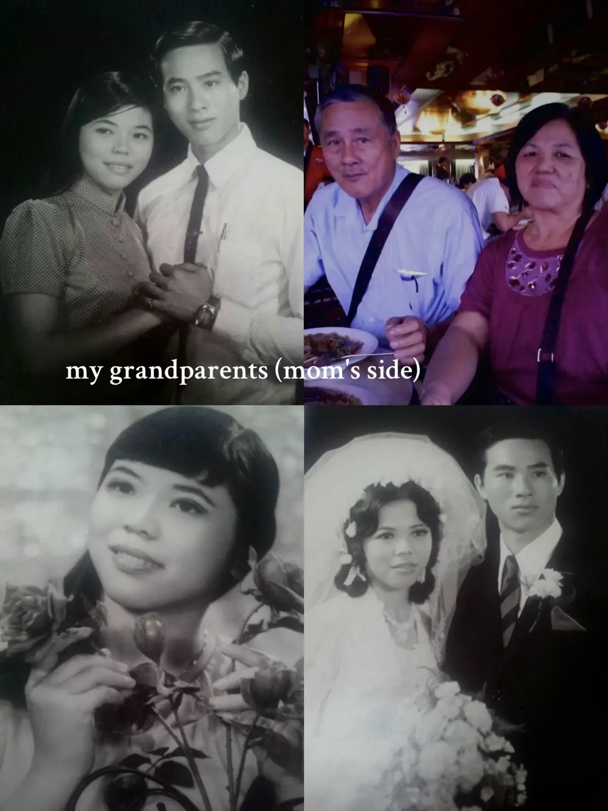 i'll never stop glazing my family (hypic was used to edit the collage) 