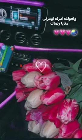 معاك انت♥️#tiktokindia #اصاله #fpyシ #حالات_واتس #fyyyyyyyyyyyyyyyy #pov #تصميمي #tiktok_india #اغاني_عربيه #اغاني_حزينه #fypシ #foryou #حركة_إكسبلور #تفاعلكم #tiktoknews 