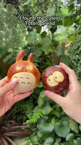 Come with me to this hidden Totoro Bakery in Fukuoka, Japan 🥹✨ I was browsing through Google maps when we were staying out in the countryside of Fukuoka prefecture, when I stumbled upon this local bakery that had the cutest vibe 🌱 📍Bread Mocca in Ukiha,Fukuoka  #ghibli #totoro #japan #japantrip #japantravel #fukuoka #japanesebread #studioghibli #whatthepato 
