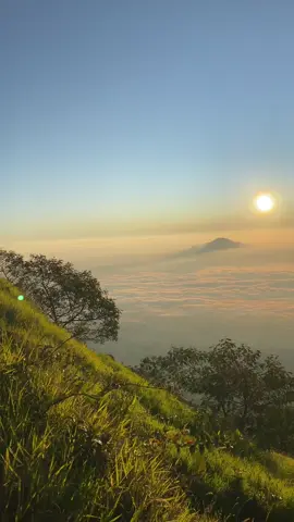 #mentahan #fypシ #pendakigunung #sindoro 
